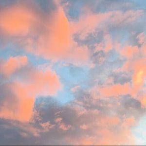 Meet your Posher, Kara